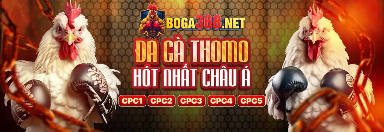 Ứng dụng cá cược 188loto trên điện thoại