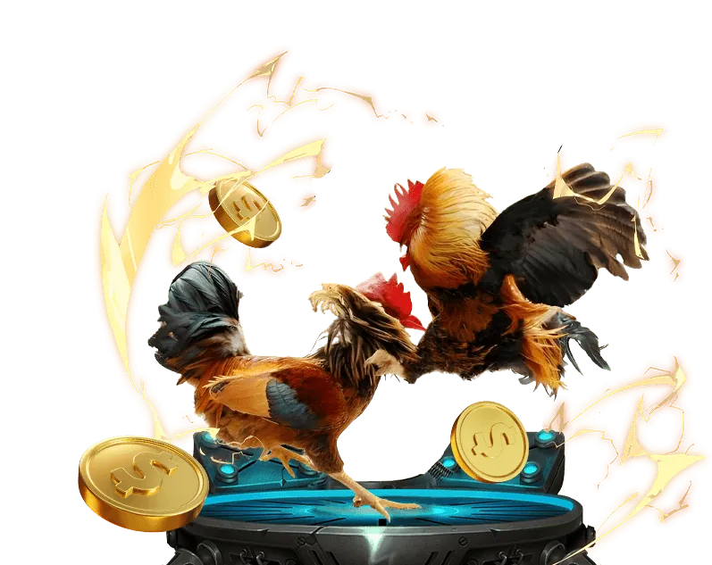 Quản lý vốn cá cược 188loto